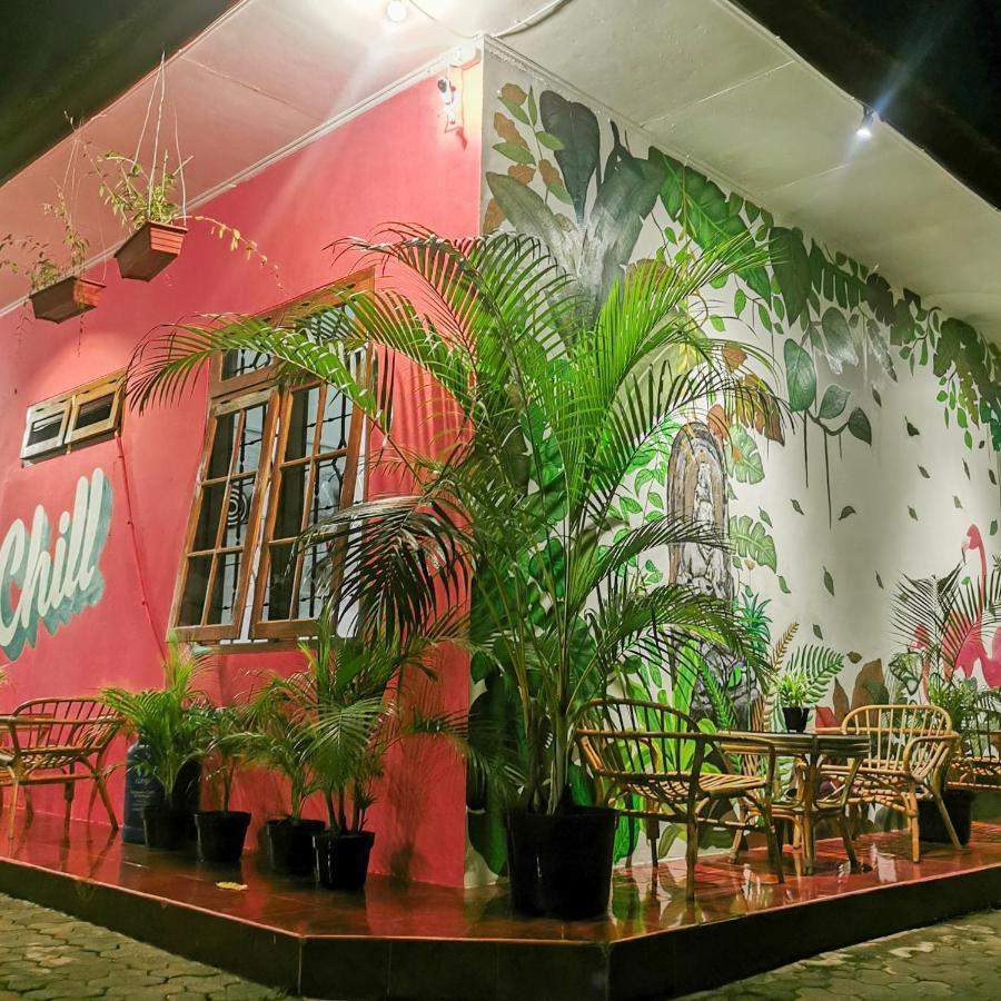 Hostel Snooze Ijen Banyuwangi  Zewnętrze zdjęcie